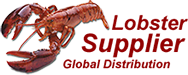 Wholesale Live Lobsters
